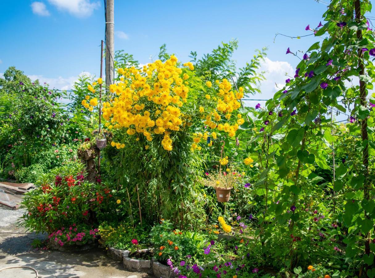 4 Rooms Sighnaghi Bagian luar foto