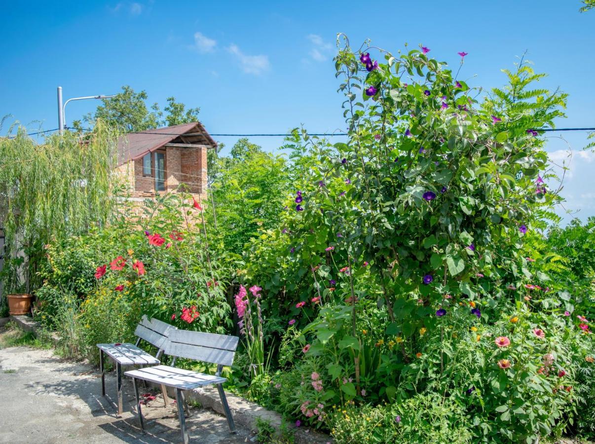 4 Rooms Sighnaghi Bagian luar foto