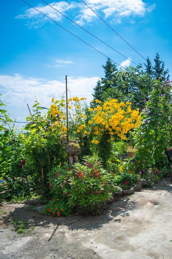 4 Rooms Sighnaghi Bagian luar foto