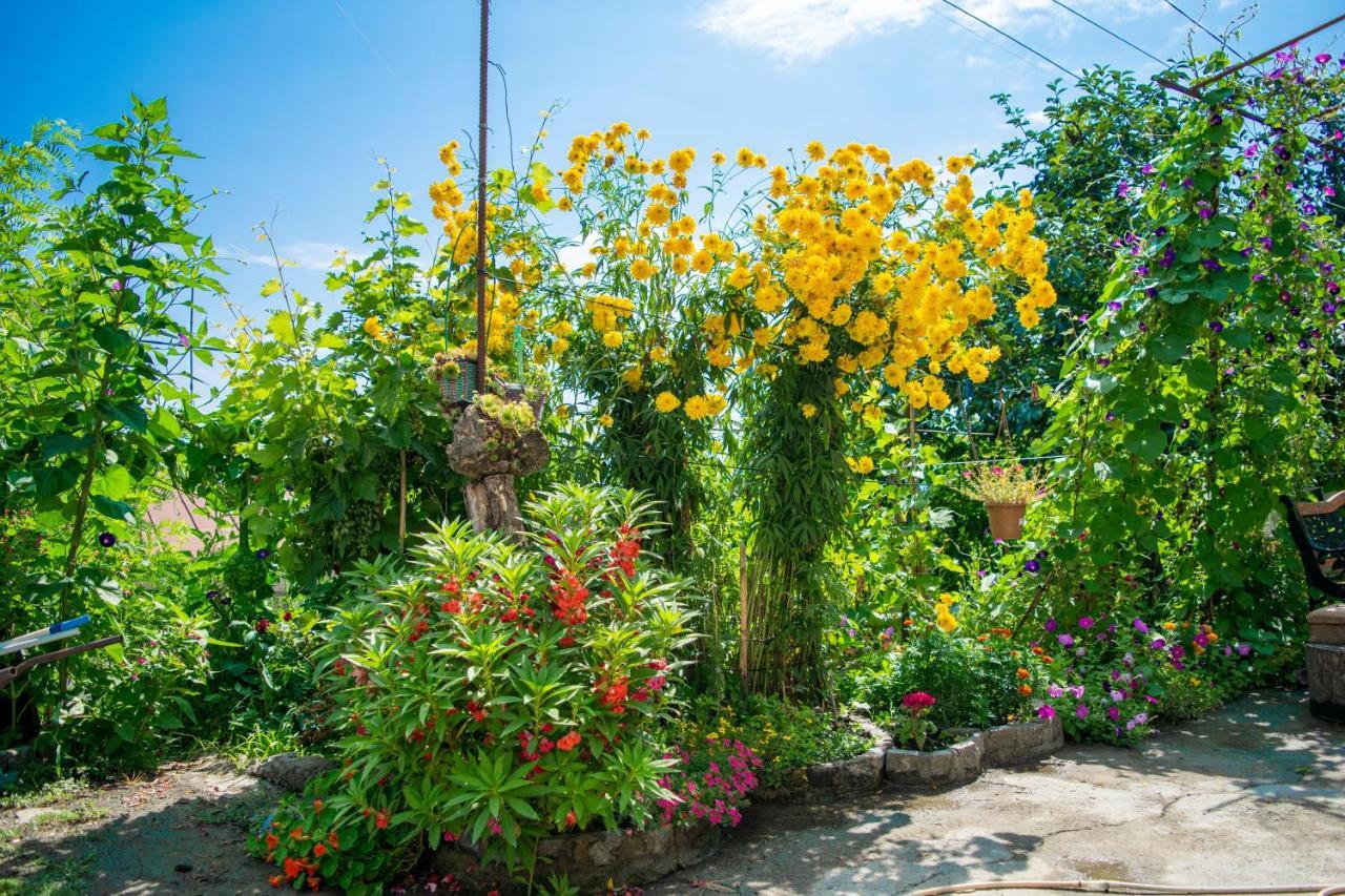 4 Rooms Sighnaghi Bagian luar foto